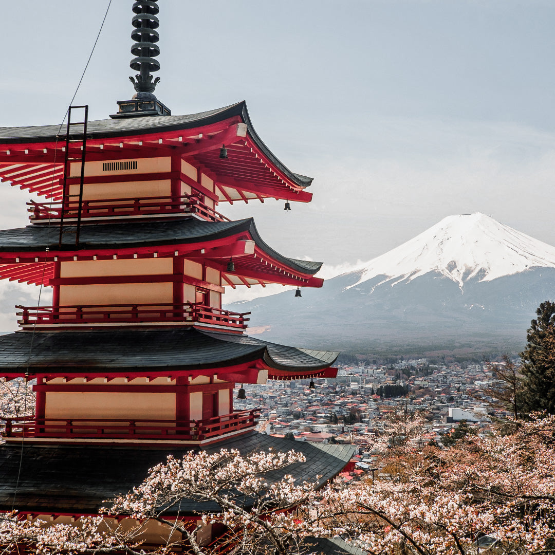Fixed Monthly Plan: Japan