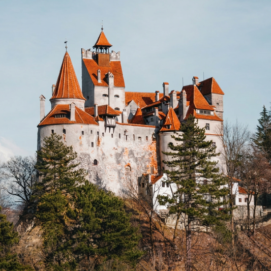 Daily Plan: Romania